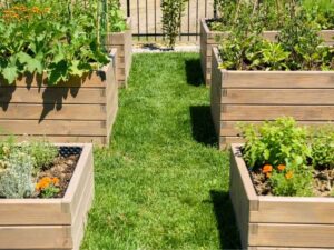 Property line markers considered when planning raised garden beds in Washington, DC